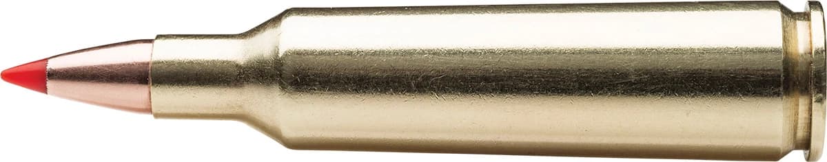.22-250, 36 Grain — 100 Count