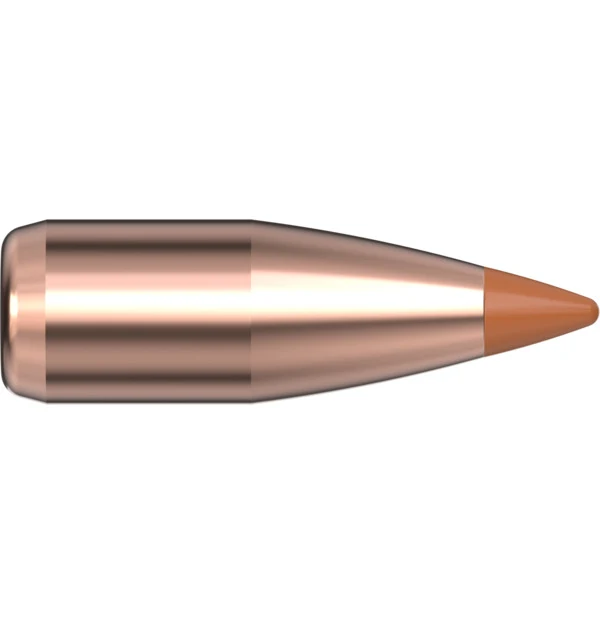 22 CAL .224 35 GR NTX