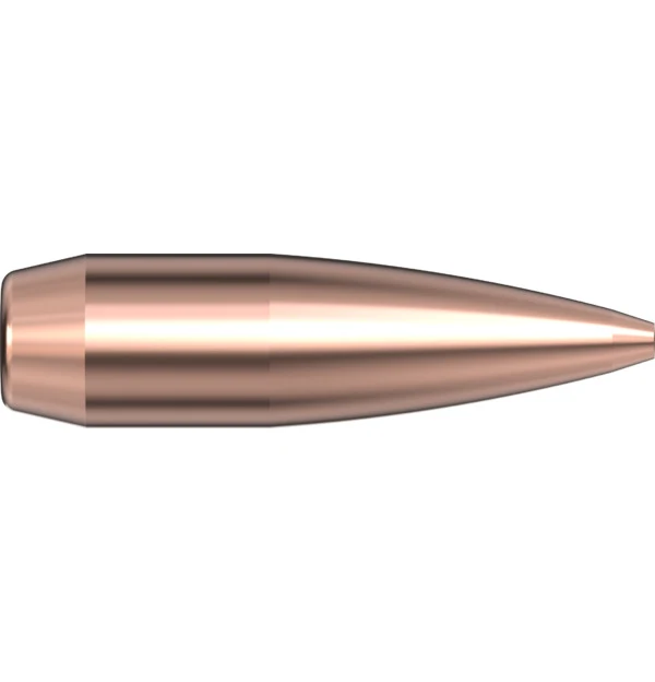 30 CAL .308 155 GR BTHP Match
