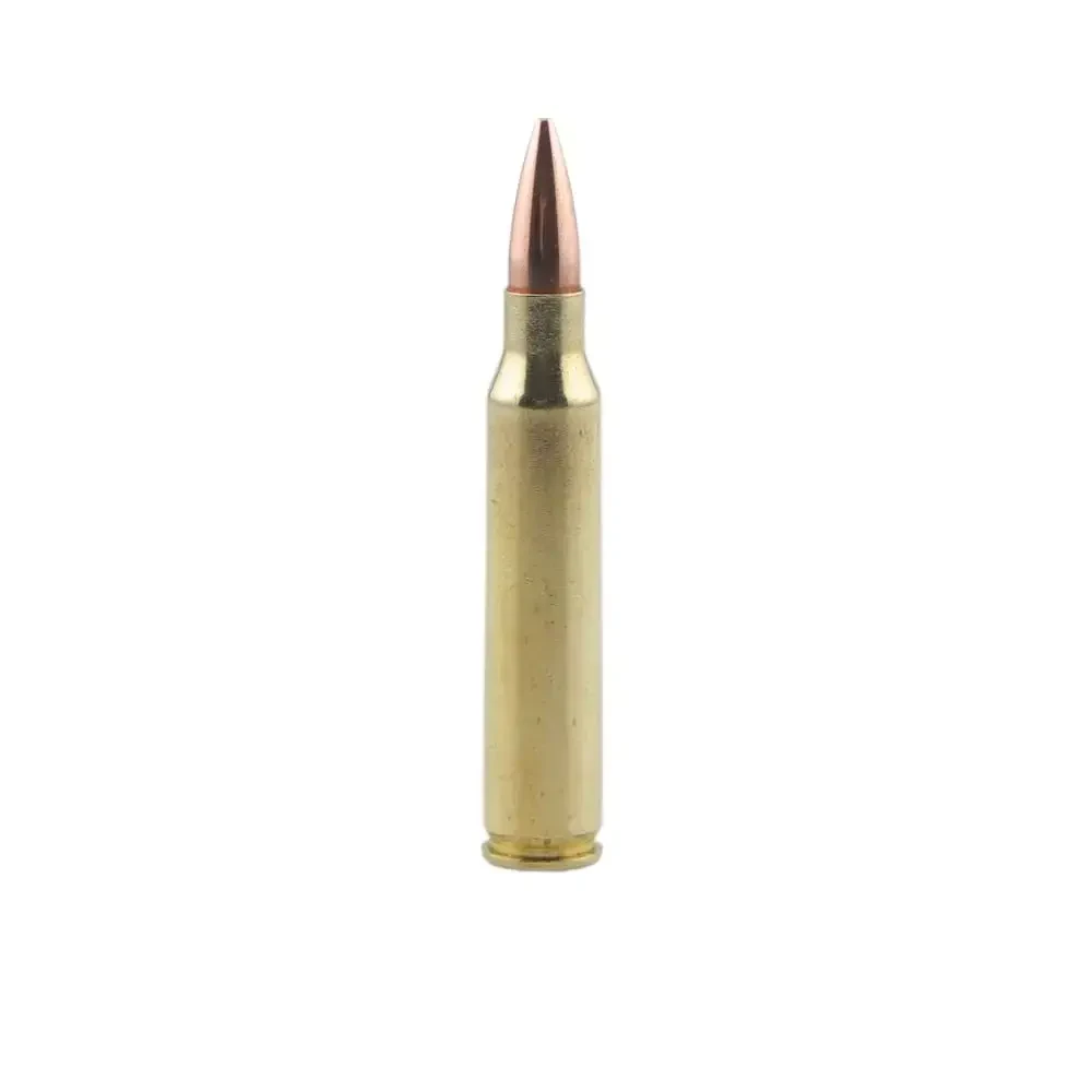 CORBON .223 Rem 69gr Performance Match HPBT