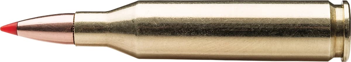 .243 Winchester, 58 Grain — 20 Count