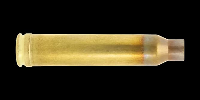 .300 Winchester Magnum Case