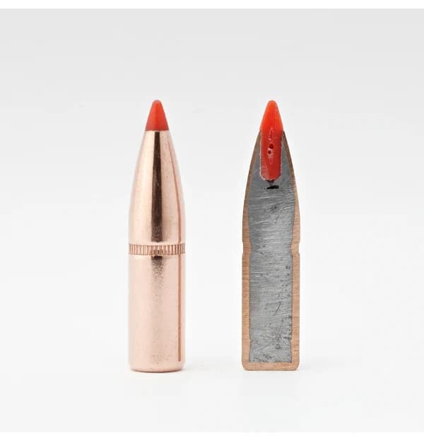 25 CAL .257 117 GR SST
