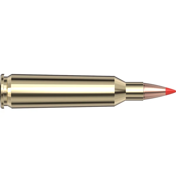 22-250 Rem 50 gr V-MAX Superformance — 20 Count