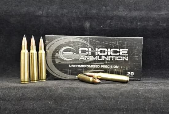 .223 Remington 40 Grain Nosler Varmageddon Tipped — 20 Count