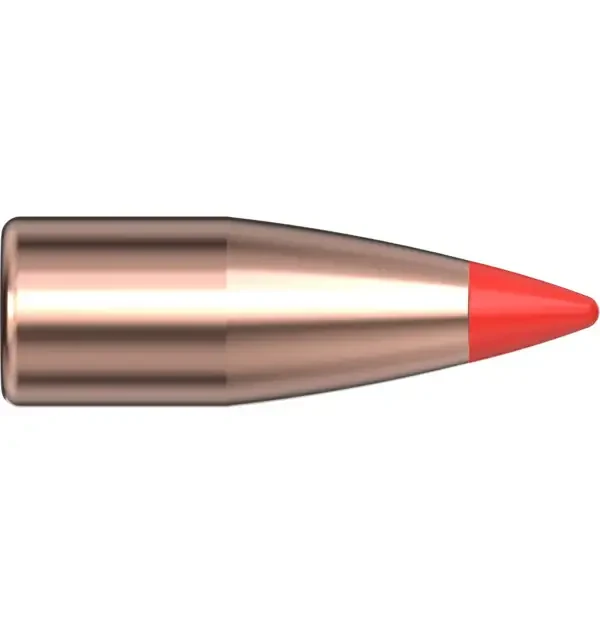 20 CAL .204 32 GR V-Max