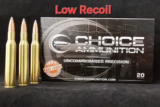 .270 Winchester 130 Grain Nosler Partition (Low Recoil) — 20 Count