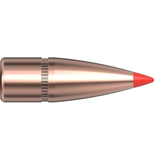 30 CAL .308 125 GR SST