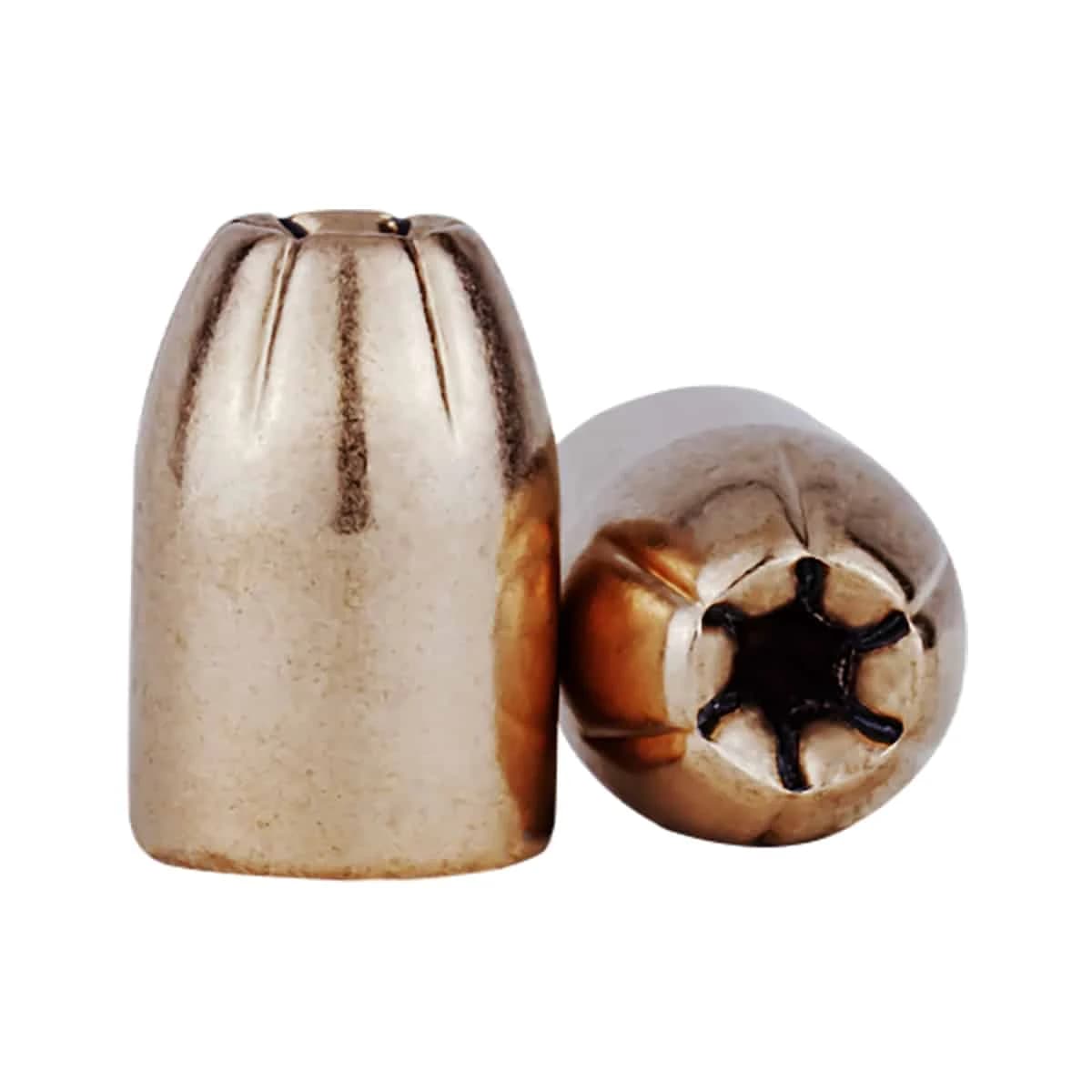 .40 (.401) 180 gr Hybrid Hollow Point