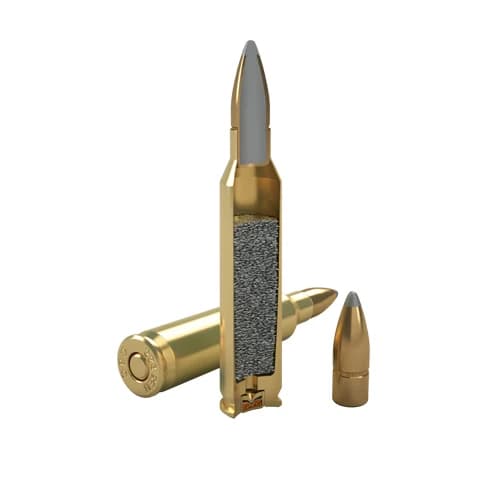 Magtech .223 REM 55GR PSP