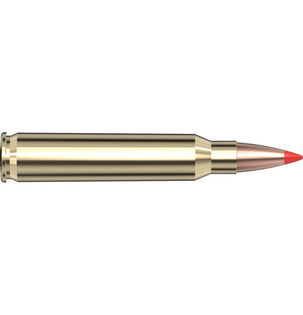223 Rem 53 gr V-MAX Superformance — 20 Count