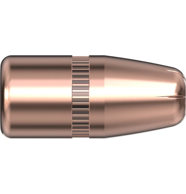 22 CAL .224 45 GR HP Bee