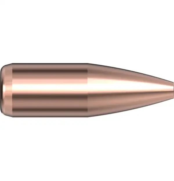 22 CAL .224 52 GR BTHP Match