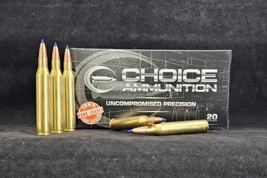 .25-06 Remington 80 Grain Barnes TTSX (Lead Free) — 20 Count