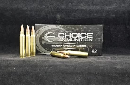 .223 Remington 55 Grain Nosler Ballistic Tip Varmint — 20 Count
