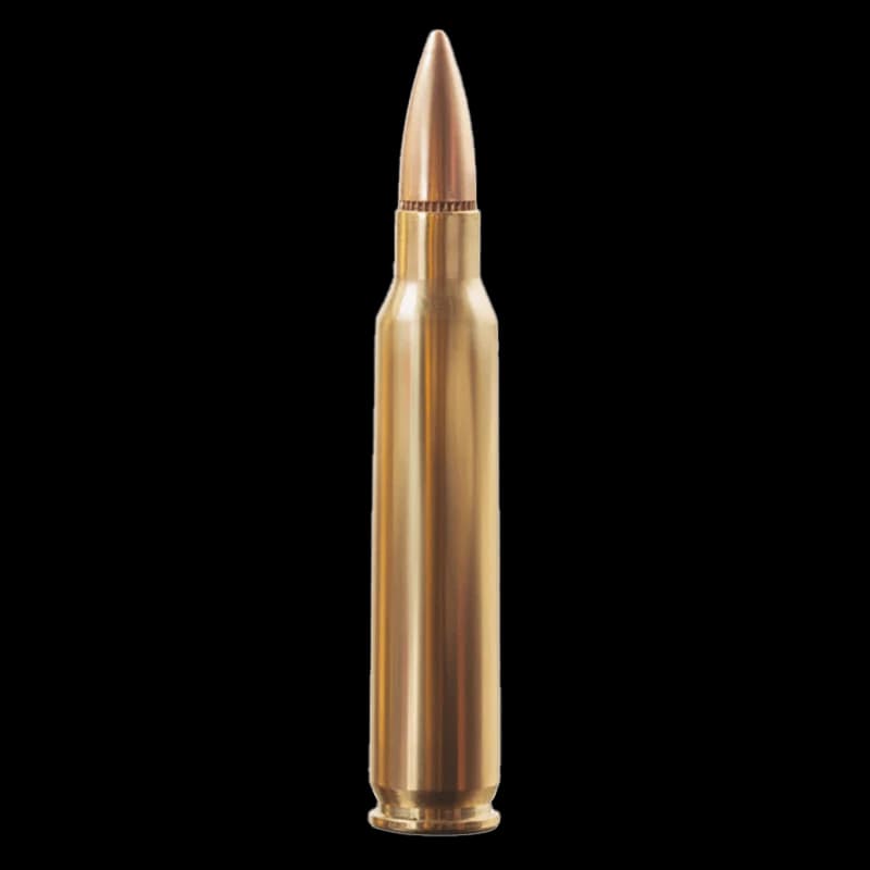 Aguila 5.56 x 45mm NATO 55 GRAIN FMJ