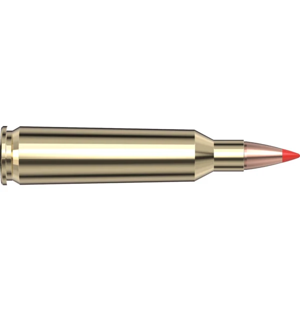 22-250 Rem 50 gr V-MAX — 20 Count