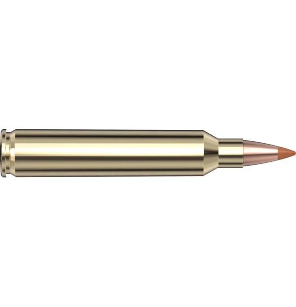 204 Ruger 24 gr NTX Superformance Varmint — 20 Count