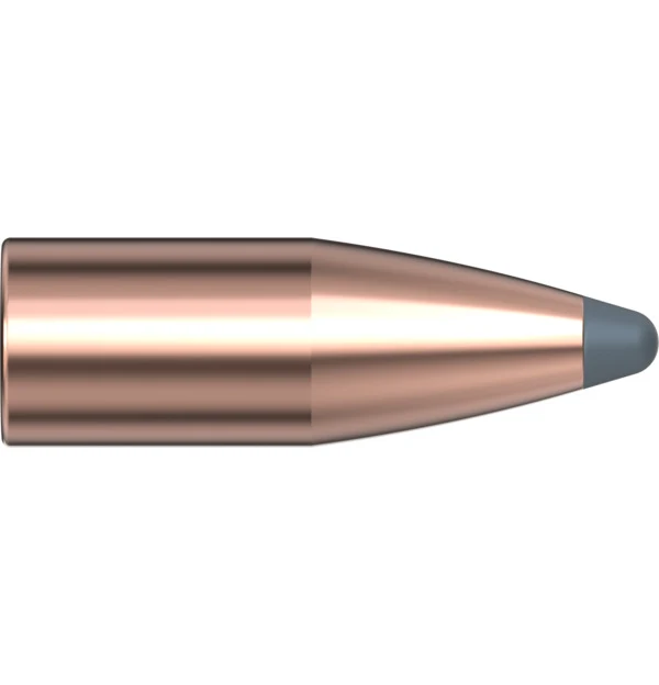 22 CAL .224 55 GR SP SX