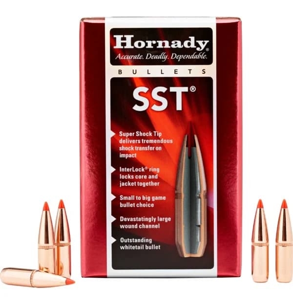 7mm .284 154 GR SST