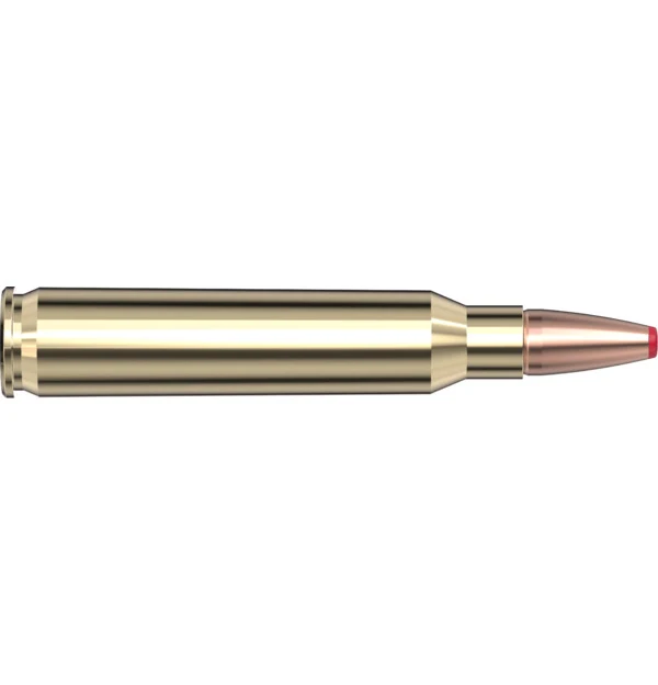 223 Rem 50 gr ECX Hornady International — 20 Count
