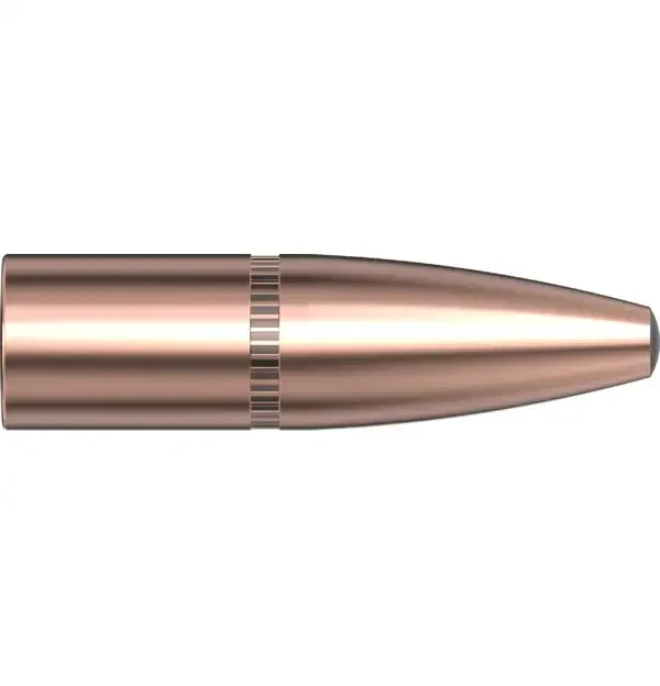 338 CAL .338 225 GR InterLock Sp-rp