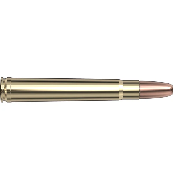 375 H&H 300 gr DGS® — 20 Count