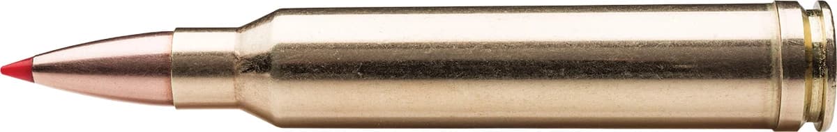 .300 Winchester Mag., 165 Grain — 20 Count