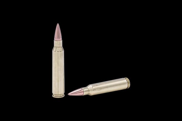 Fort Scott Munitions 5.56 NATO SCS TUI - 55Gr Solid Copper Ammo