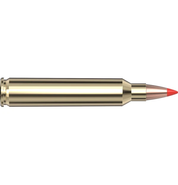 204 Ruger 32 gr V-MAX Superformance — 20 Count
