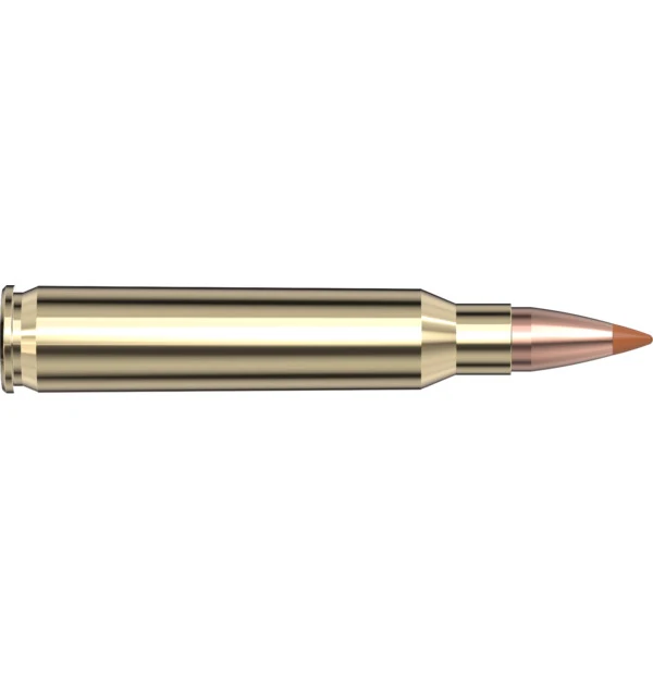 223 Rem 35 gr NTX Superformance — 20 Count