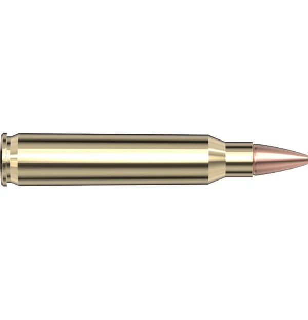 223 Rem 50 gr CX Superformance — 20 Count