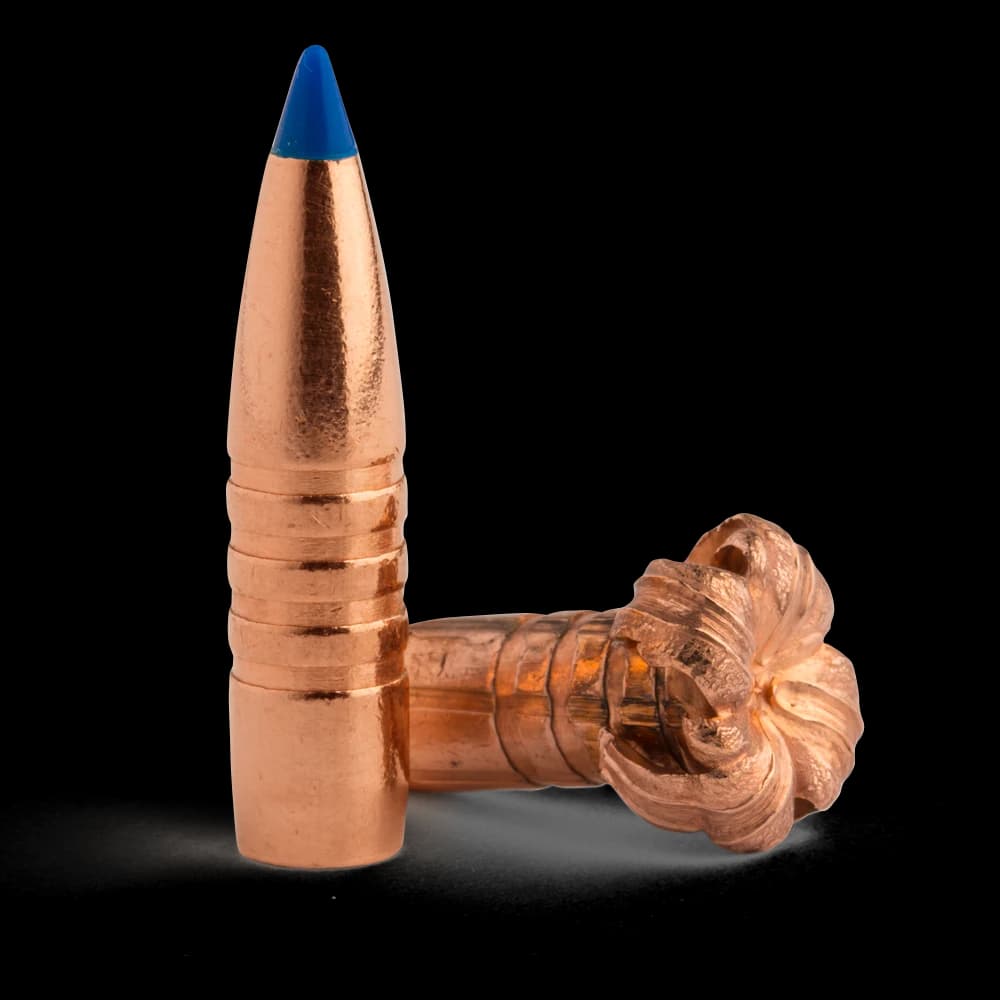 0.416" 416 CAL TTSX 350 GR BT