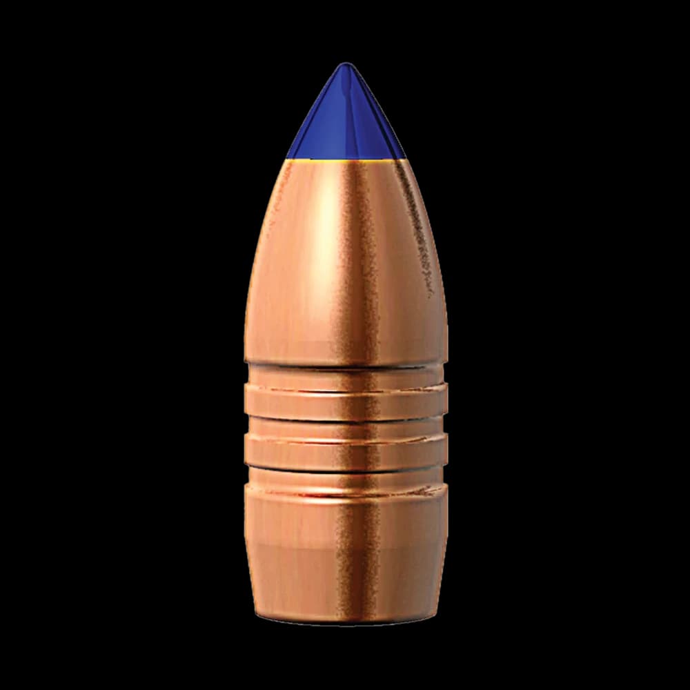 0.458" 458 SOCOM TTSX 300 GR BT