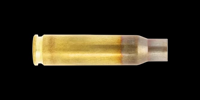 .308 Winchester Case