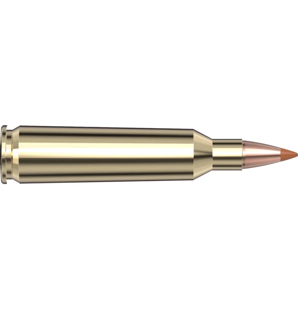 22-250 Rem 35 gr NTX Superformance — 20 Count
