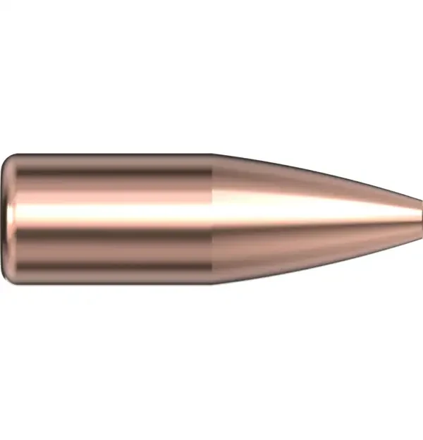 22 CAL .224 53 GR HP Match