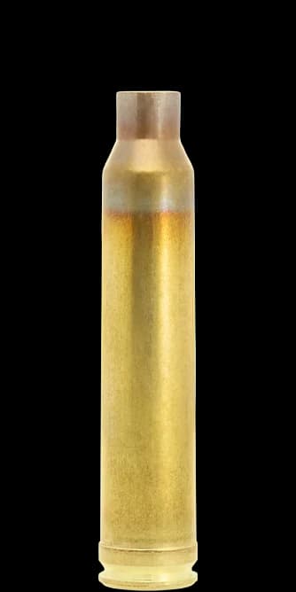 .300 Winchester Magnum Case