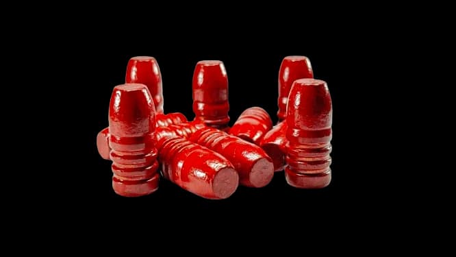 45-70 405 Grain RNFP COATED