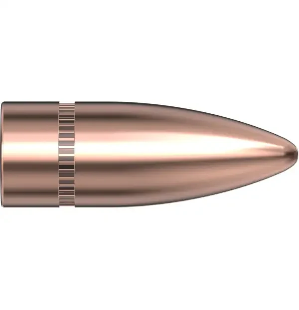7.62 CAL .310 123 GR FMJ