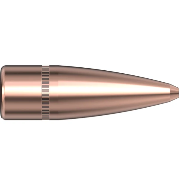 30 CAL .308 125 GR HP