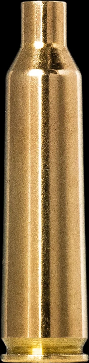 Norma Brass 22-250 Rem.