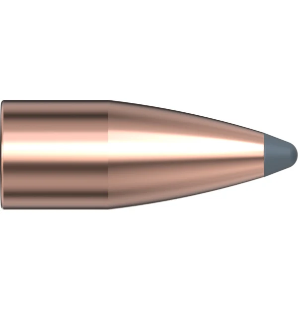 30 CAL .308 110 GR SP
