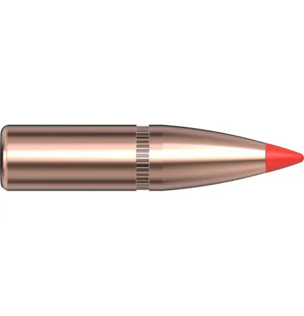 6mm .243 95 GR SST