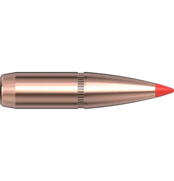 270 CAL .277 140 GR SST