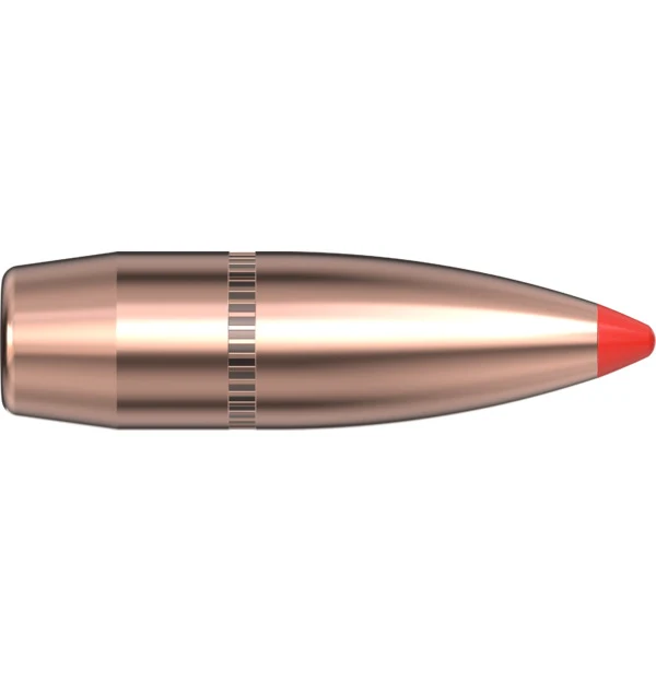 30 CAL .308 150 GR SST (300 Savage)