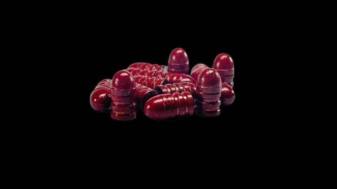 32 CAL 100 Grain RN – COATED
