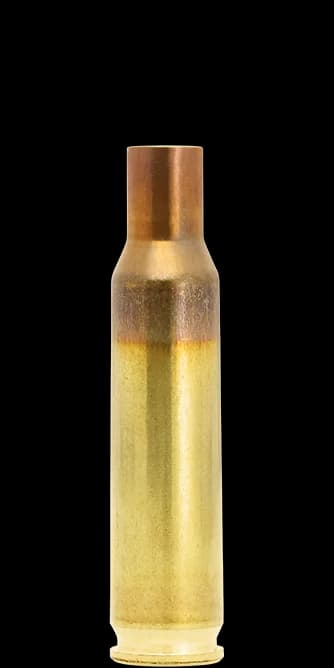 .222 Remington Case