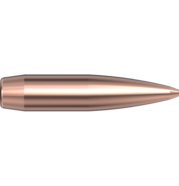 30 CAL .308 208 GR BTHP Match
