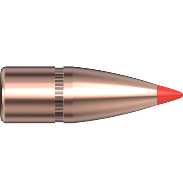 7.62 CAL .310 123 GR SST